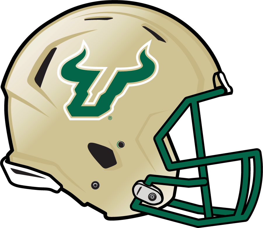 South Florida Bulls 2011-2013 Helmet diy DTF decal sticker